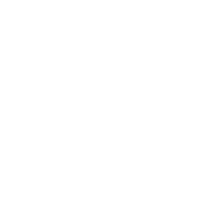 logo-RESPIRE