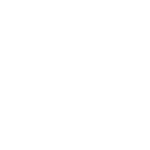 logo-icam-parissenart